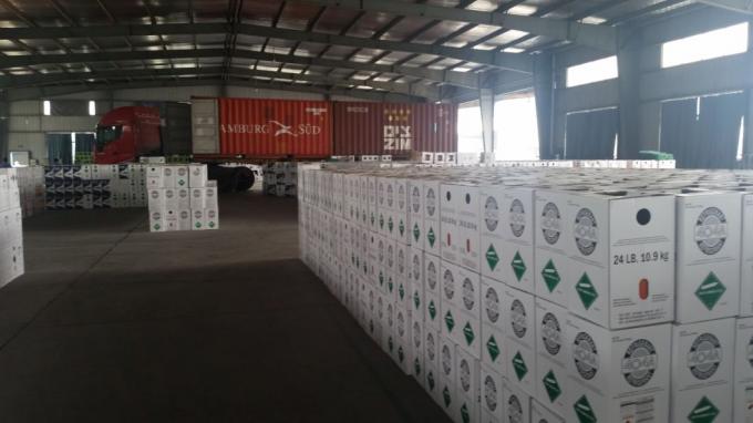 R507 Refrigerant Gas Factory Direct Sale 99.6% Purity